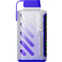 VОZOL GEAR POWER 20000 Черничный Мохито